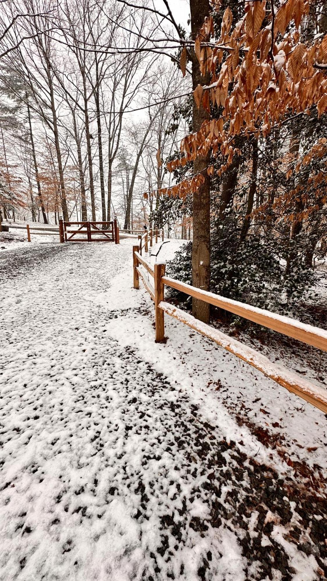Appalachian Mountain Cabin-Updated-Private-Rafting On Ocoee River-Hiking-Waterfalls-Wifi-Pets Ok Murphy Exterior photo